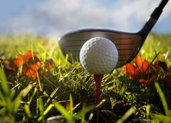 Samolepka flie 200 x 144, 16911245 - Golf club and ball in grass - Golfov klub a m v trv
