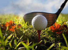 Samolepka flie 270 x 200, 16911245 - Golf club and ball in grass - Golfov klub a m v trv