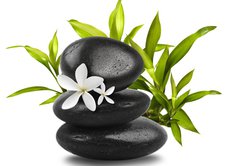 Fototapeta174 x 120  Spa still life on white background, 174 x 120 cm