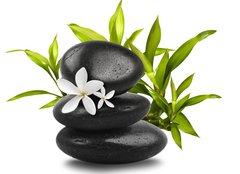 Fototapeta240 x 174  Spa still life on white background, 240 x 174 cm