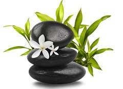 Fototapeta254 x 184  Spa still life on white background, 254 x 184 cm