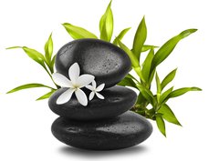 Fototapeta330 x 244  Spa still life on white background, 330 x 244 cm