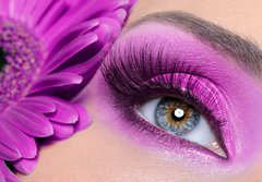 Fototapeta papr 184 x 128, 16976079 - Purple eye make-up with gerber flower