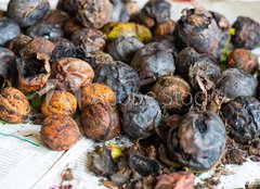 Fototapeta papr 160 x 116, 171137304 - walnuts immediately after harvesting before cleaning