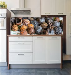 Fototapeta do kuchyn flie 180 x 60, 171137304 - walnuts immediately after harvesting before cleaning