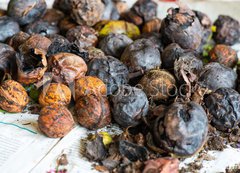 Fototapeta200 x 144  walnuts immediately after harvesting before cleaning, 200 x 144 cm