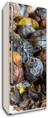 Samolepka na lednici flie 80 x 200, 171137304 - walnuts immediately after harvesting before cleaning