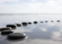 Samolepka flie 200 x 144, 17156990 - stepping stones