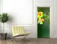 Samolepka na dvee flie 90 x 220, 17174555 - Orchidee