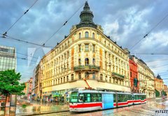 Fototapeta vliesov 145 x 100, 171777679 - City tram in the old town of Brno, Czech Republic