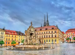 Samolepka flie 270 x 200, 171778400 - Parnas Fountain on Zerny trh square in the old town of Brno, Czech Republic