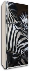 Samolepka na lednici flie 80 x 200  zebras, 80 x 200 cm