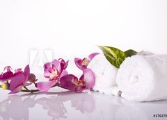 Samolepka flie 200 x 144, 17627044 - wellness