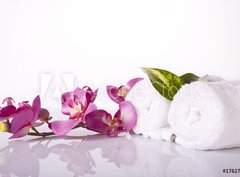 Fototapeta papr 360 x 266, 17627044 - wellness