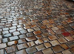 Samolepka flie 100 x 73, 176627639 - Wet Stone Pavement