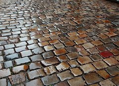 Fototapeta papr 160 x 116, 176627639 - Wet Stone Pavement
