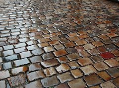 Fototapeta pltno 330 x 244, 176627639 - Wet Stone Pavement