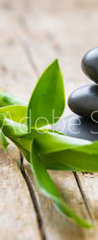 Samolepka na dvee flie 90 x 220, 176854248 - Hot stone with bamboo