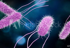 Samolepka flie 145 x 100, 176894218 - 3D illustration of Salmonella Bacteria. Medicine concept.