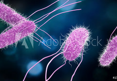 Fototapeta184 x 128  3D illustration of Salmonella Bacteria. Medicine concept., 184 x 128 cm