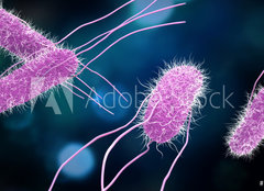 Fototapeta papr 254 x 184, 176894218 - 3D illustration of Salmonella Bacteria. Medicine concept.