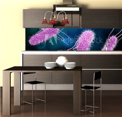 Fototapeta do kuchyn flie 260 x 60, 176894218 - 3D illustration of Salmonella Bacteria. Medicine concept.
