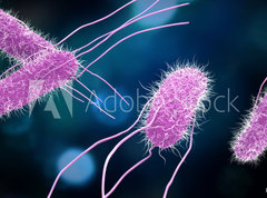 Samolepka flie 270 x 200, 176894218 - 3D illustration of Salmonella Bacteria. Medicine concept.