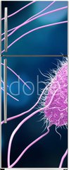 Samolepka na lednici flie 80 x 200, 176894218 - 3D illustration of Salmonella Bacteria. Medicine concept.