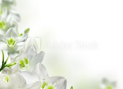 Samolepka fólie 100 x 73, 17740159 - flowers - květiny