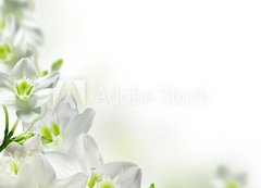 Samolepka flie 200 x 144, 17740159 - flowers