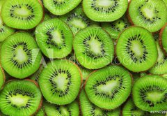 Samolepka flie 145 x 100, 17747289 - Kiwi