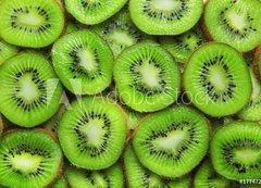 Samolepka flie 200 x 144, 17747289 - Kiwi