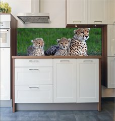 Fototapeta do kuchyn flie 180 x 60, 177537572 - Maman gupard et ses 2 petits blottis sur un rocher, dans la savane verte du Parc Masa Mara, au Kenya