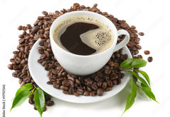 Samolepka flie 145 x 100, 17757342 - Coffee