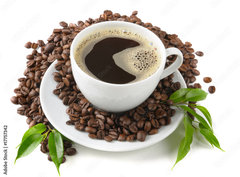 Fototapeta330 x 244  Coffee, 330 x 244 cm