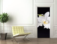 Samolepka na dvee flie 90 x 220  Orchid on black background, 90 x 220 cm