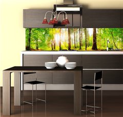 Fototapeta do kuchyně fólie 260 x 60, 178083347 - Beautiful forest panorama with big trees and bright sun - Krásné lesní panorama s velkými stromy a jasné slunce