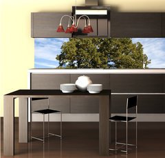 Fototapeta do kuchyně fólie 260 x 60, 17987334 - Large Oak Tree with Blue Sky - Velký dubový strom s modrou oblohou