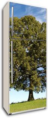 Samolepka na lednici fólie 80 x 200, 17987334 - Large Oak Tree with Blue Sky - Velký dubový strom s modrou oblohou