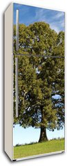 Samolepka na lednici flie 80 x 200  Large Oak Tree with Blue Sky, 80 x 200 cm