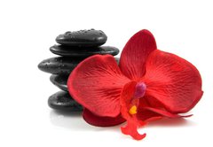 Fototapeta vliesov 145 x 100, 18007850 - Stacked black spa stones with silk orchid over white background