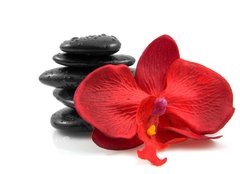 Fototapeta160 x 116  Stacked black spa stones with silk orchid over white background, 160 x 116 cm