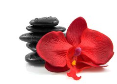 Fototapeta vliesov 200 x 144, 18007850 - Stacked black spa stones with silk orchid over white background