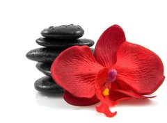 Fototapeta330 x 244  Stacked black spa stones with silk orchid over white background, 330 x 244 cm