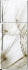 Samolepka na lednici flie 80 x 200, 180759298 - Dandelion seed closeup