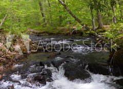 Fototapeta papr 160 x 116, 182860867 - Whitewater Stream