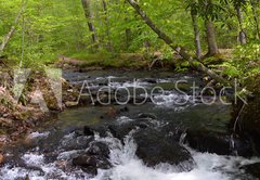 Fototapeta pltno 174 x 120, 182860867 - Whitewater Stream