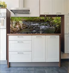 Fototapeta do kuchyn flie 180 x 60, 182860867 - Whitewater Stream