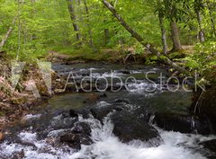 Fototapeta papír 360 x 266, 182860867 - Whitewater Stream