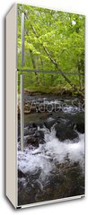Samolepka na lednici flie 80 x 200, 182860867 - Whitewater Stream